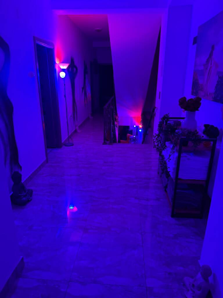 WhatsApp Image 2026-01-12 at 21.09.12